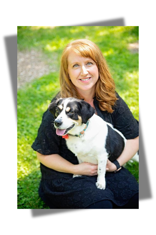 c0cd76a1 5111 480e a8a6 9c450e361c25